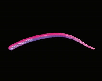TD-9071